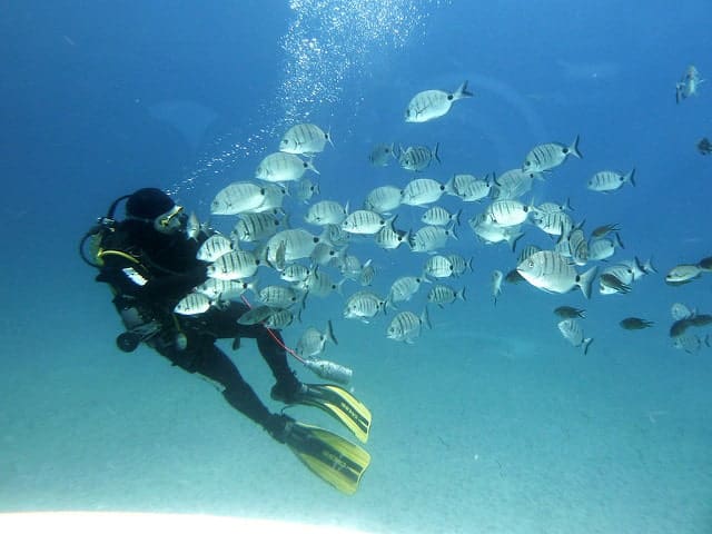 Tenerife Diving