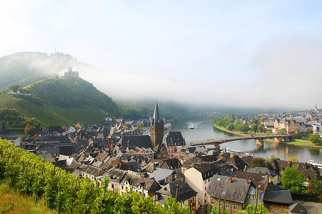Germany Wine Country