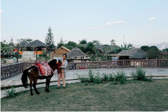 Horseback Riding Alaska
