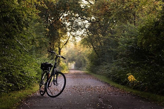 Bike Trails Near Seattle