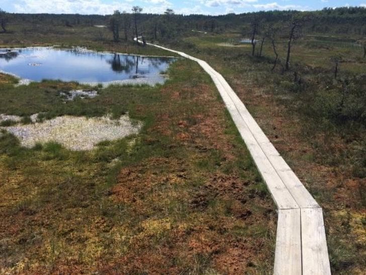 Estonia Bike Trail