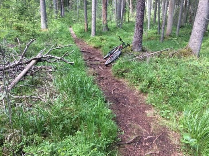 Estonia Bike Trail