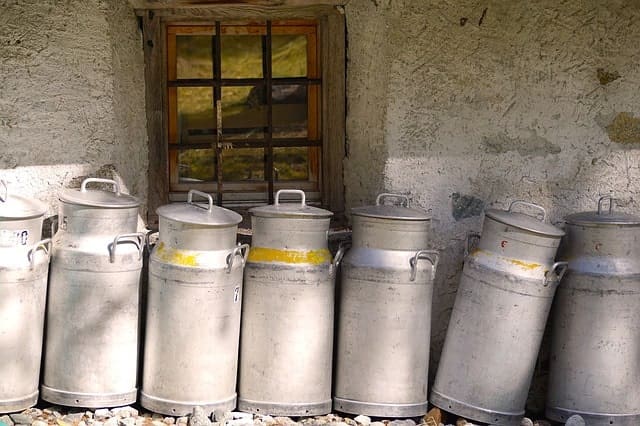 Cheese Maker