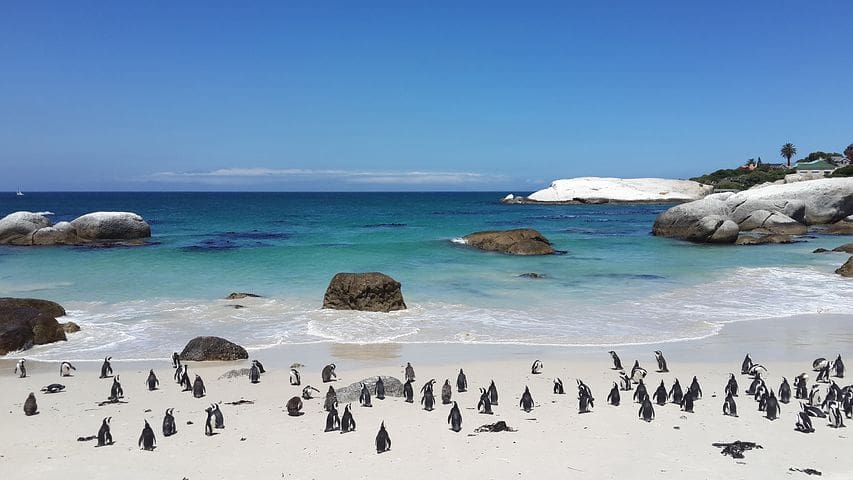 Cape Town South Africa