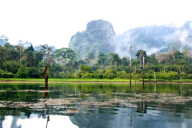 Khao Sok National Park