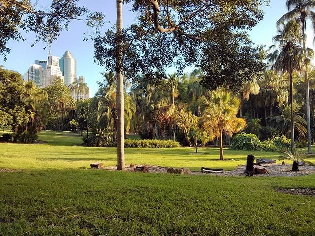 Brisbane Botanic Gardens