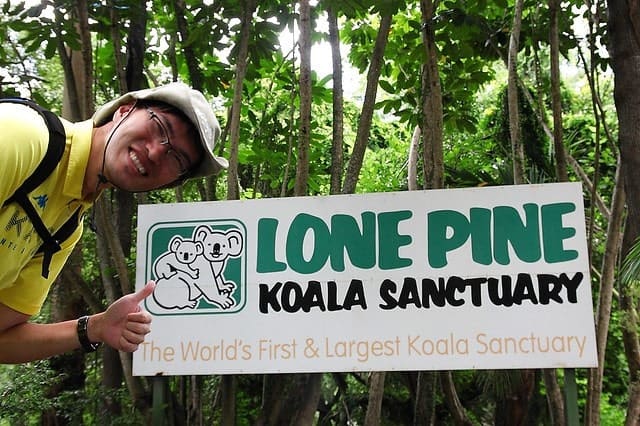 Lone Pine Koala Sanctuary Bisbane Australia