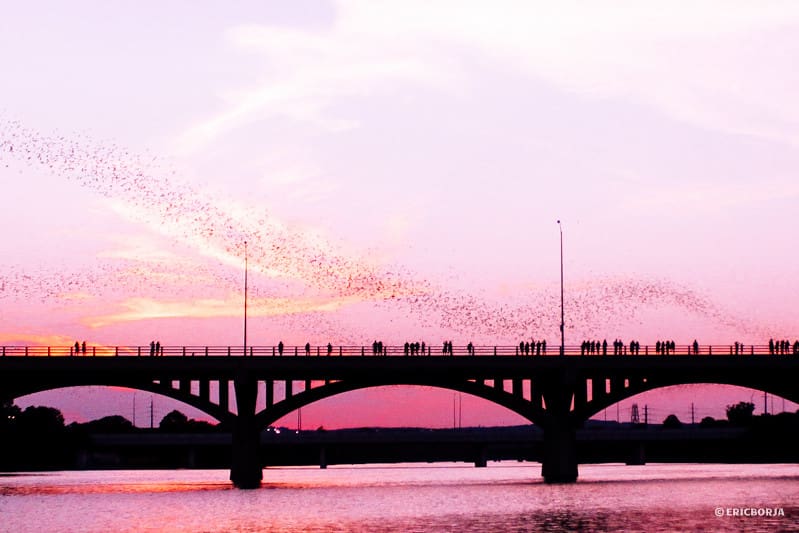 Congress Avenue Bridge Austin Texas