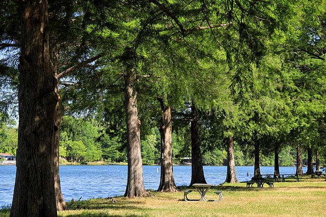 Emma Long Park Austin Texas