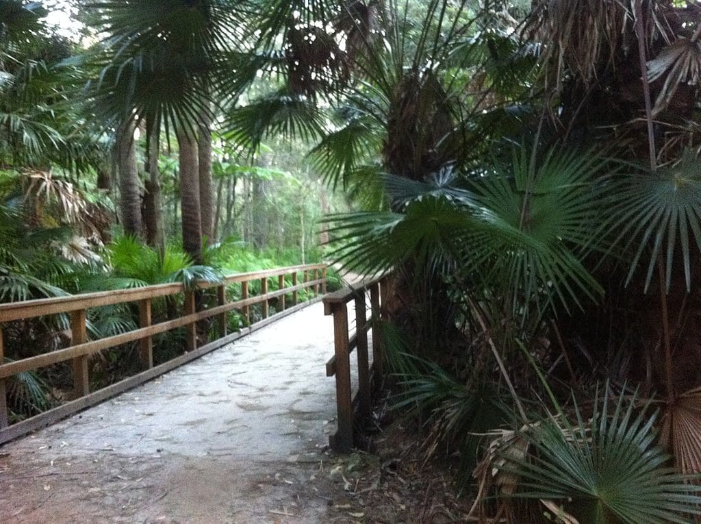 Narrabeen Lagoon Trail Sydney