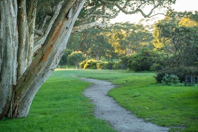 Centennial Park Sydney