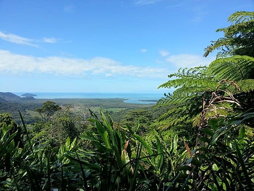 Daintree National Park
