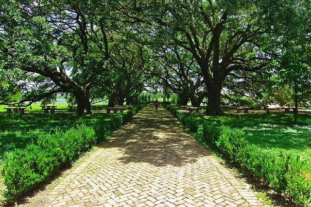 Whitney Plantation