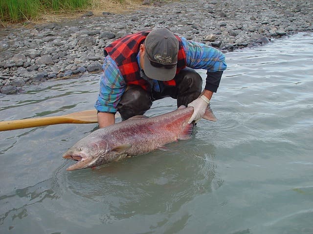 Alaska Fishing
