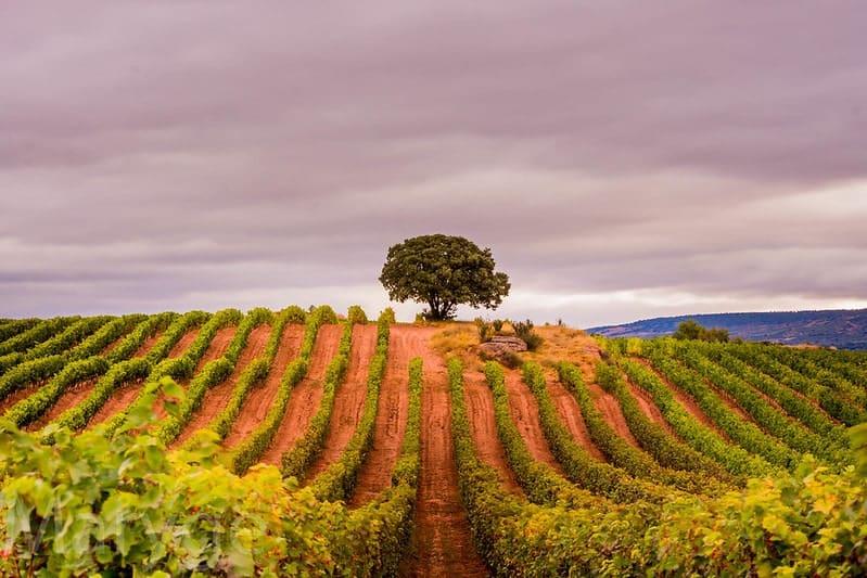 La Rioja Spain Things To Do
