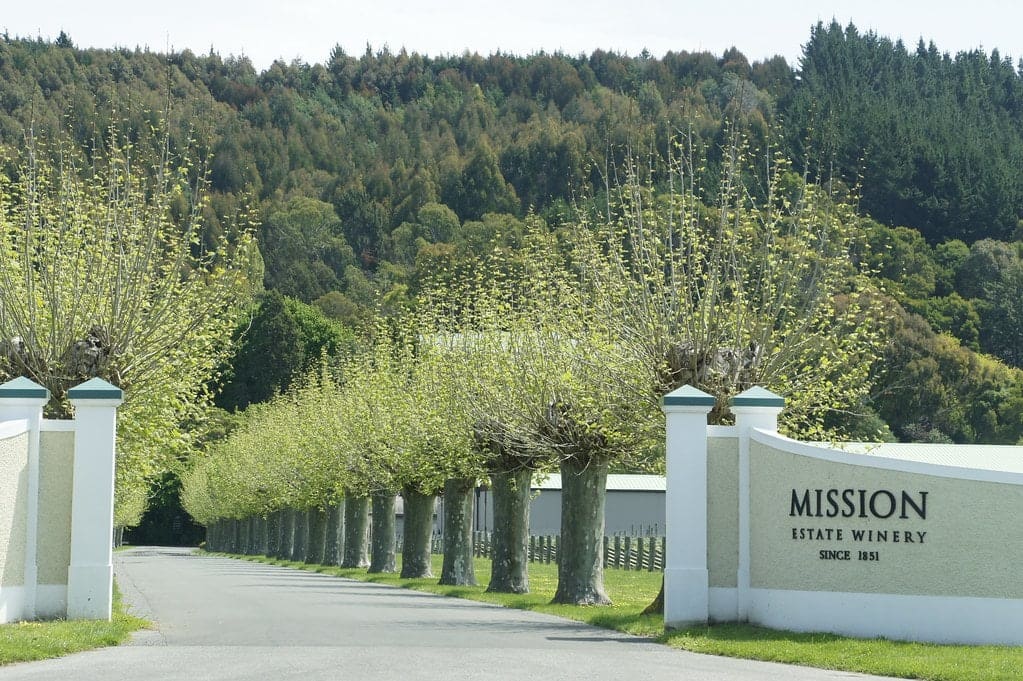 Napier Vineyard New Zealand