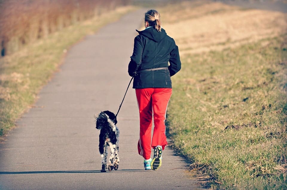 Trail Running With Dog