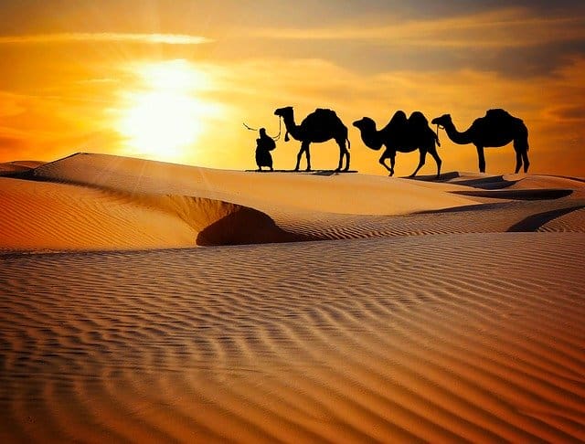 Desert Caravan