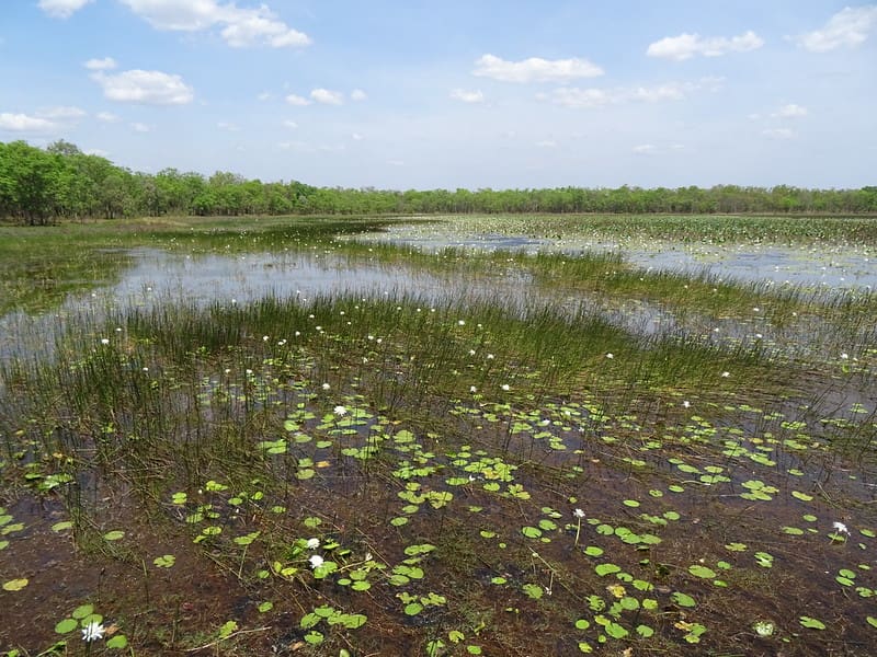 Mary River National Park