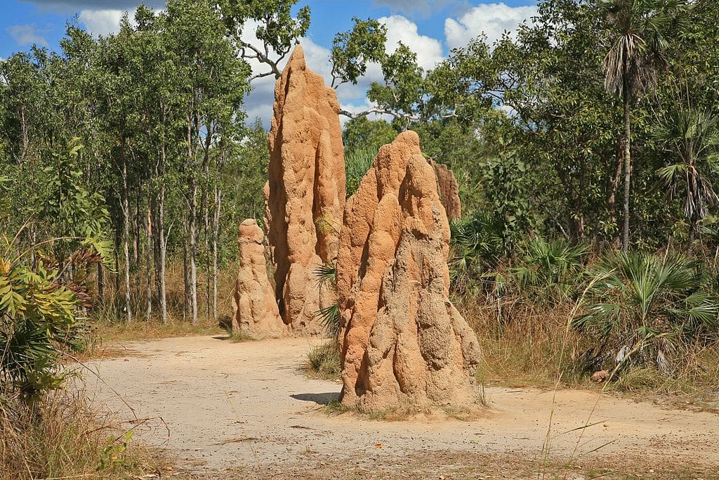 Litchfield National Park