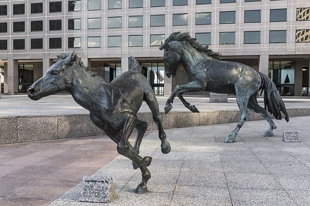 Things To Do Irving Texas