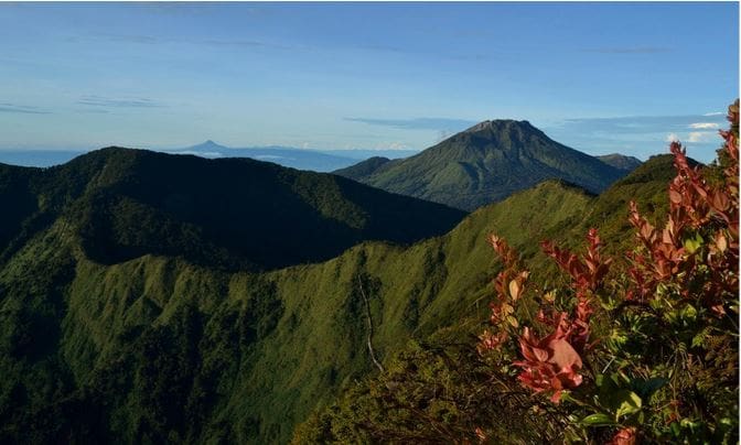 Mount Apo