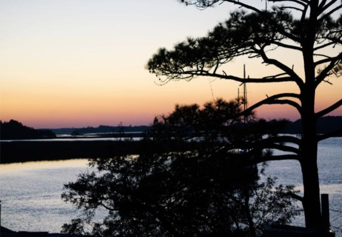Bowens Island Restaurant