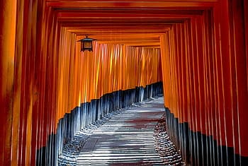 Torri Gates Japan