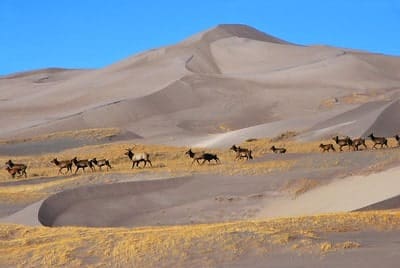 Great Sand Dunes National Park Colorado