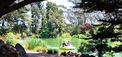 Golden Gate Park San Francisco