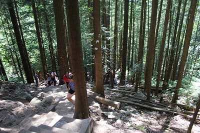 Vancouver Grouce Grind