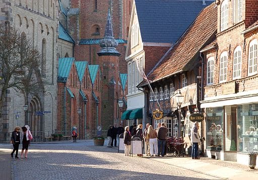 Ribe Travevl Tips