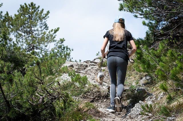 Hiking With Your Dog