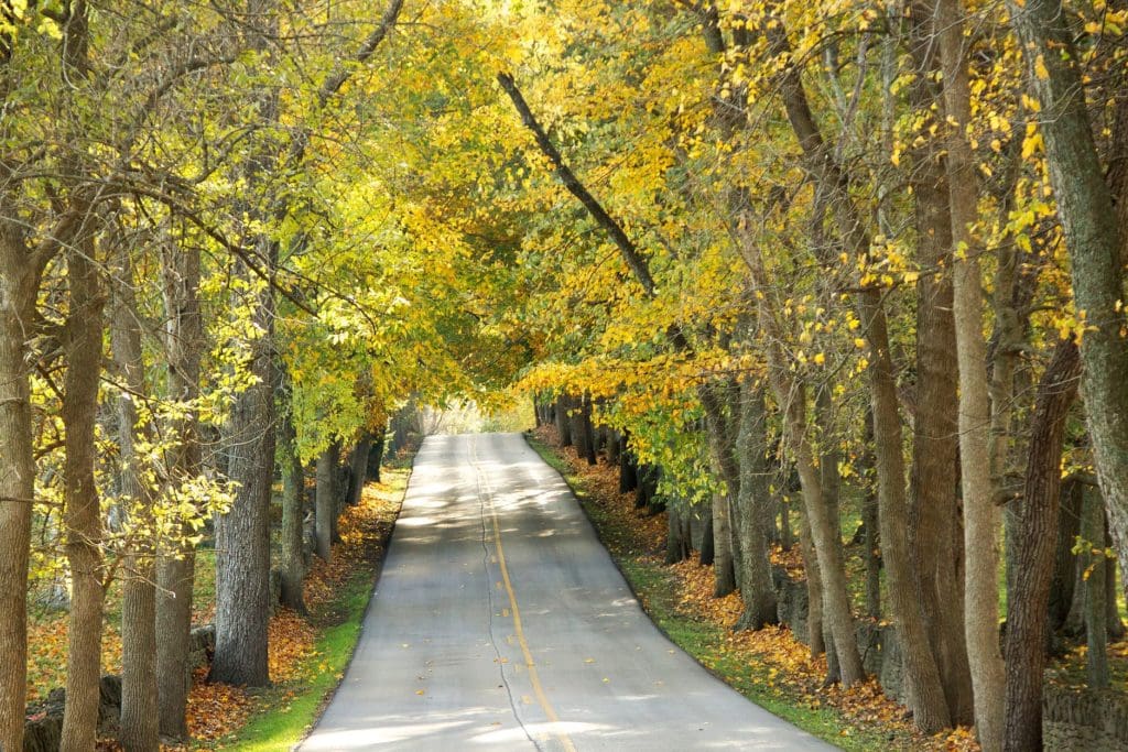 Old Frankfort Pike Kentucky