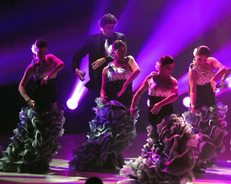 Flamenco Madrid Spain