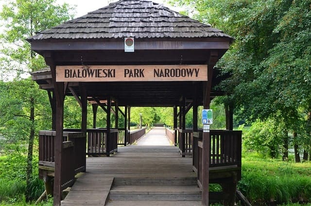 Biaowieza Forest National Park