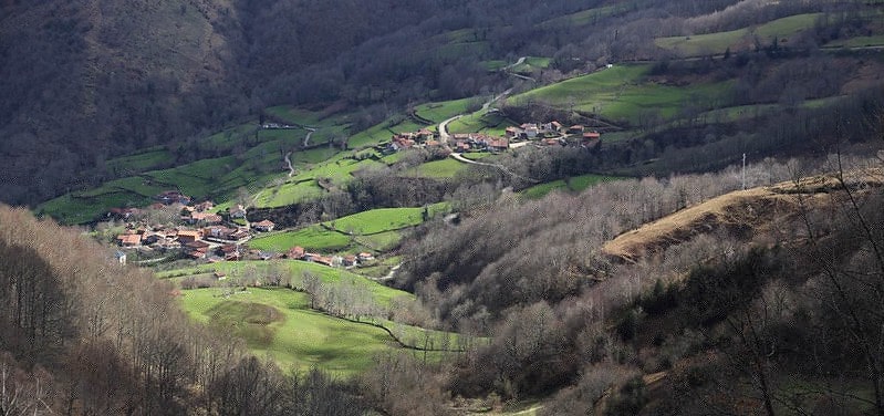 Ponga Spain