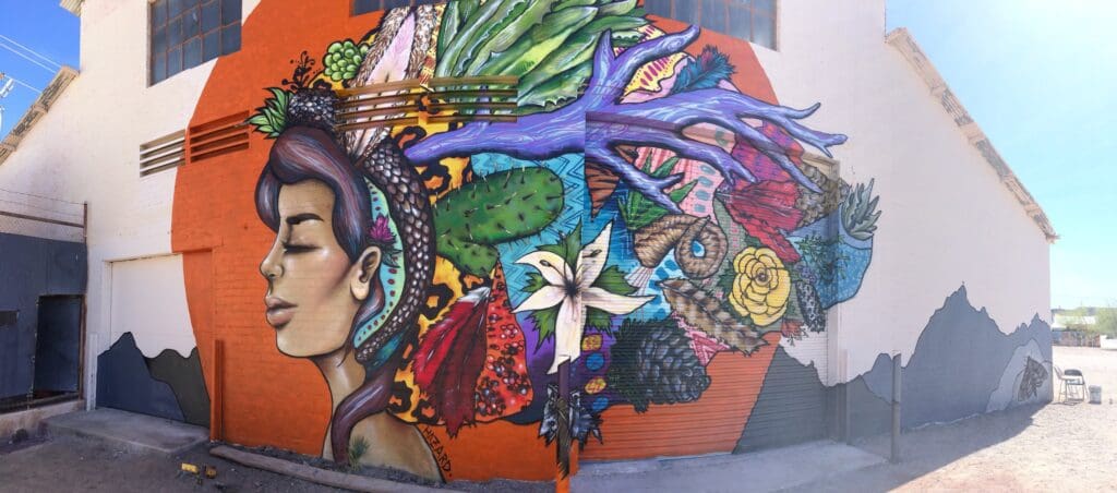Miss Hazard Sonora Street Art