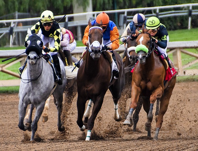 Horse Races