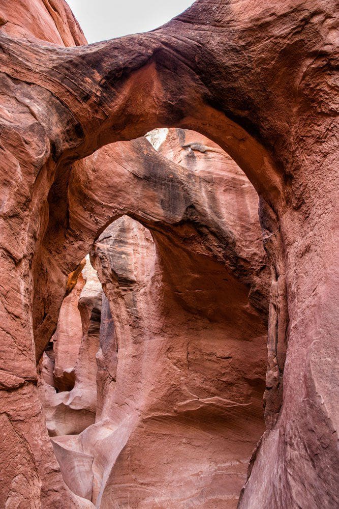 peek-a-boo arches