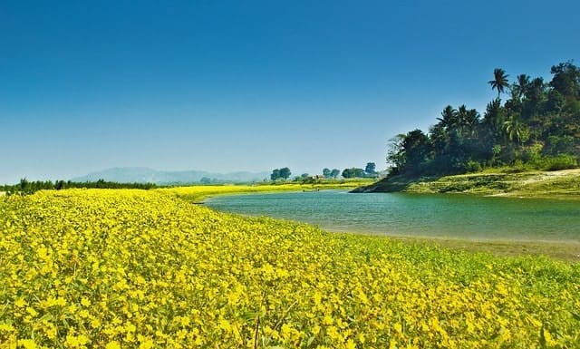 Assam India Travel Tips