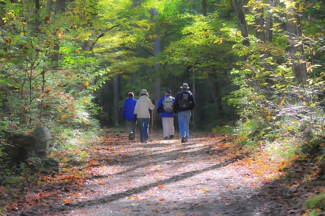 Smoky Mountains Family Reunion