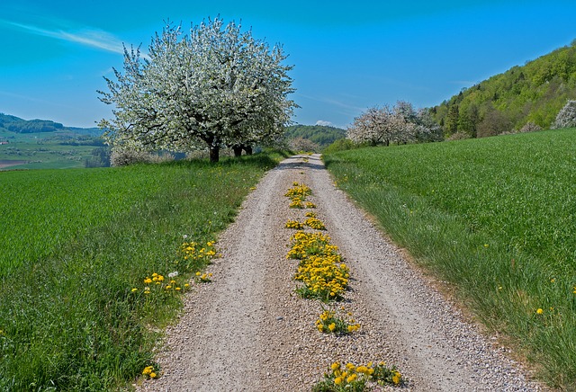 Spring Hikes