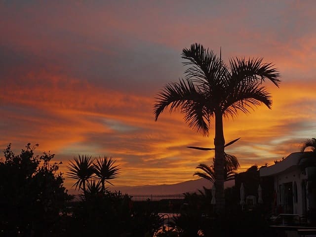 Tenerife Sunset