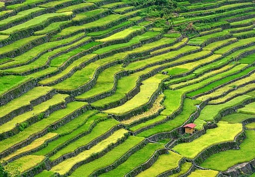 Batad Rice Terraces Philippines