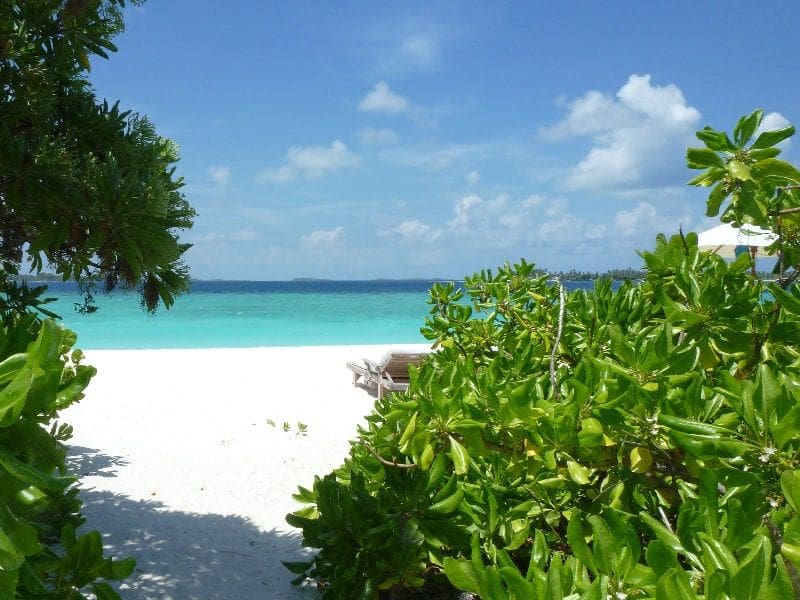 Maldives Beach