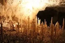 Bears Cave Romania