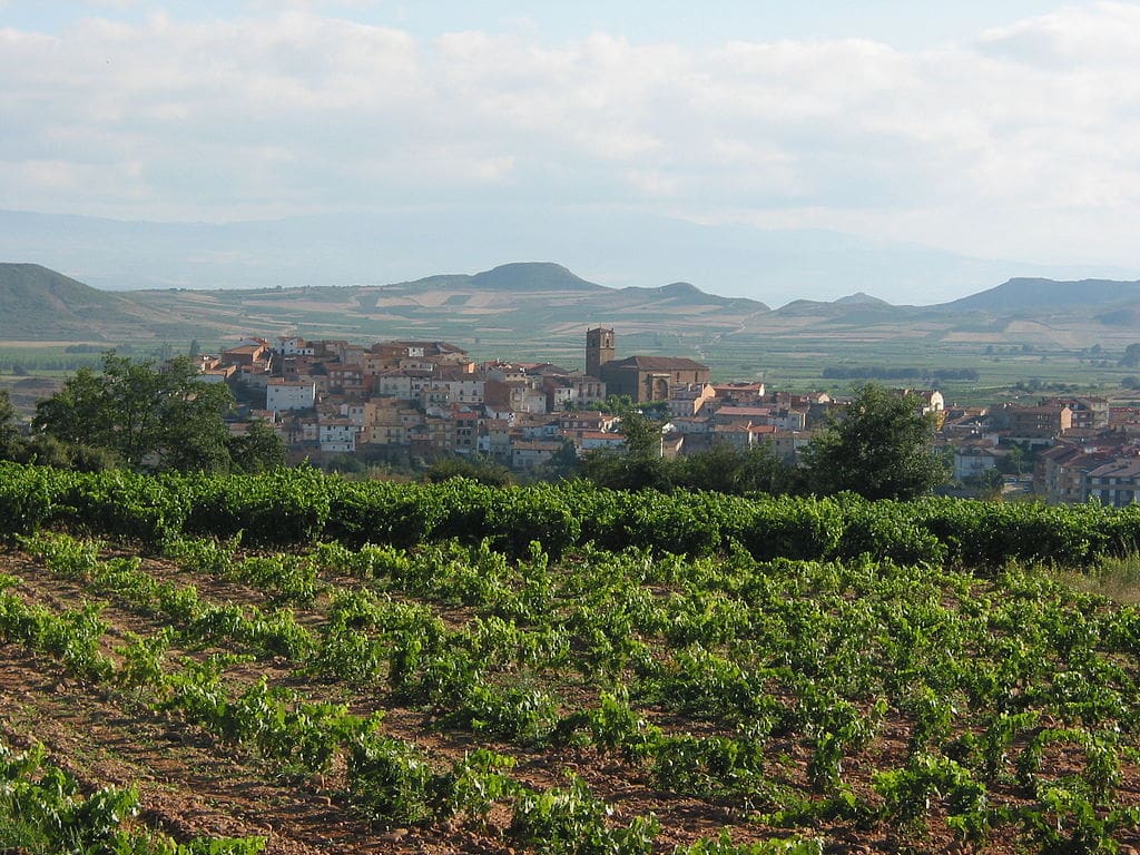 Rioja Wine Region Spain