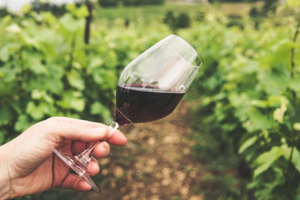 Spain Wine Tours