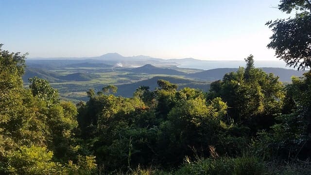 Daintree Forest Australia